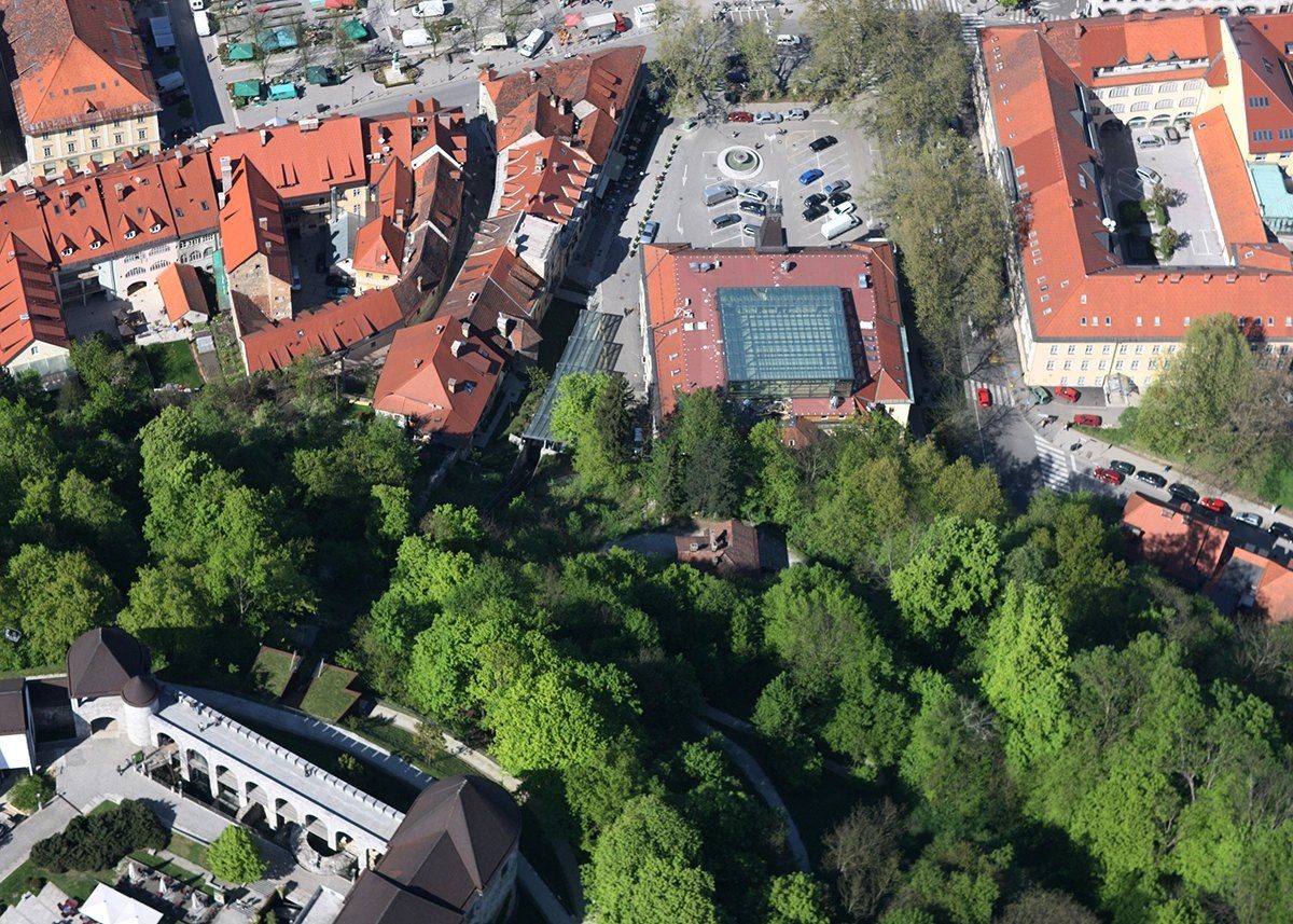 Med streho in krošnjo